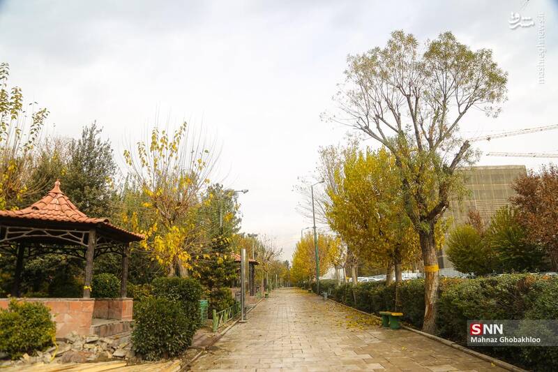 عکس / هوای پاییزی تهران 2