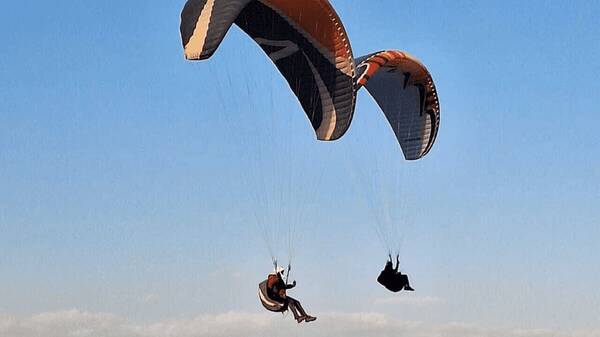 سازمان،ايمني،پروازي،گواهينامه،ورزشكاران