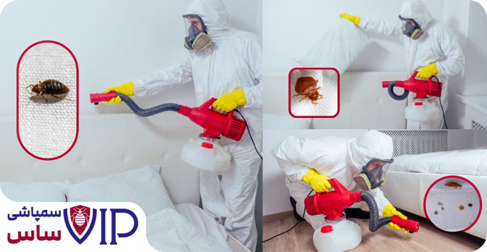 روش سمپاشی ساس (از بین بردن 100% ساس بدون بازگشت)