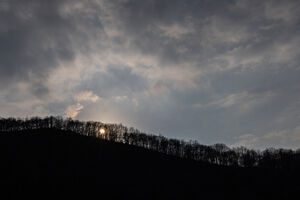 عکس/ سوز و گداز دیزمار