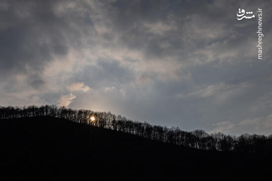 سوز و گداز دیزمار