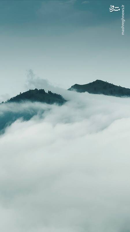 شگفتی طبیعت گیلان؛ بالاتر از ابرها