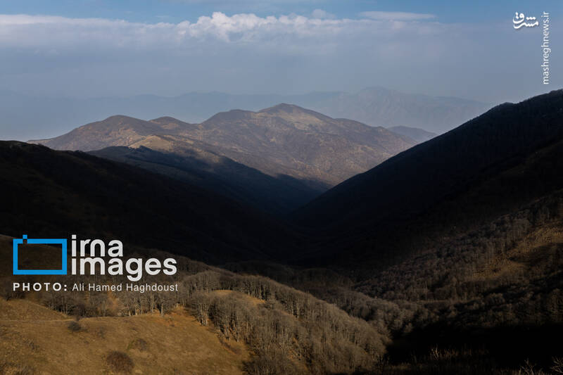 عکس / سوز و گداز دیزمار