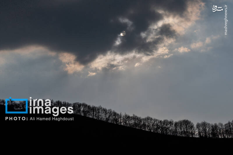 عکس / سوز و گداز دیزمار 36