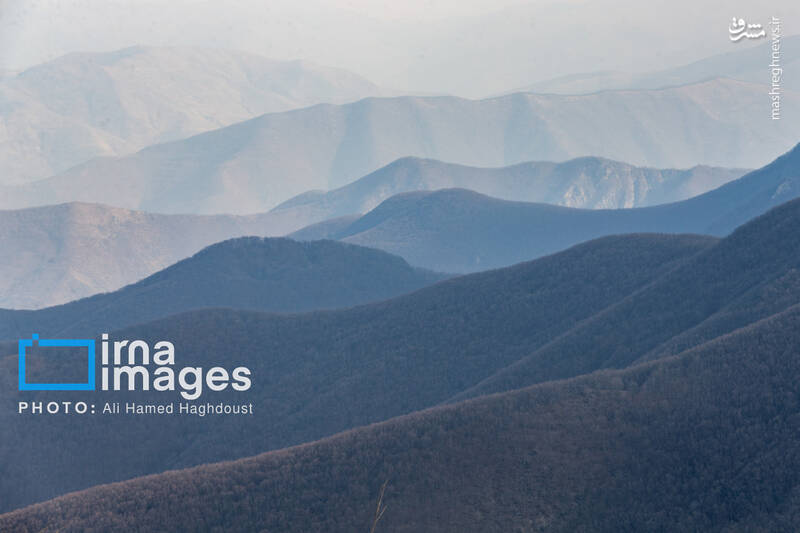 عکس / سوز و گداز دیزمار 17