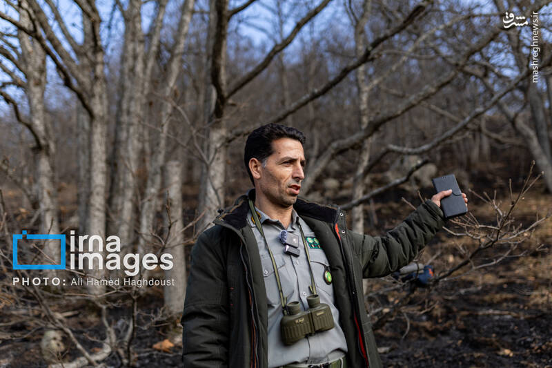 عکس / سوز و گداز دیزمار 42