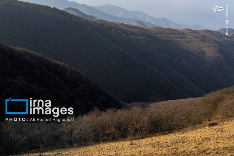 عکس / سوز و گداز دیزمار 41