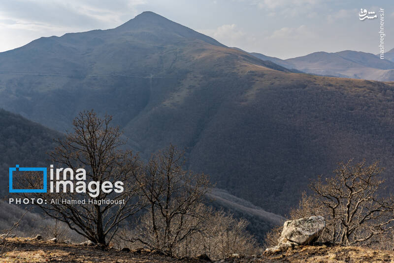 عکس / سوز و گداز دیزمار 20