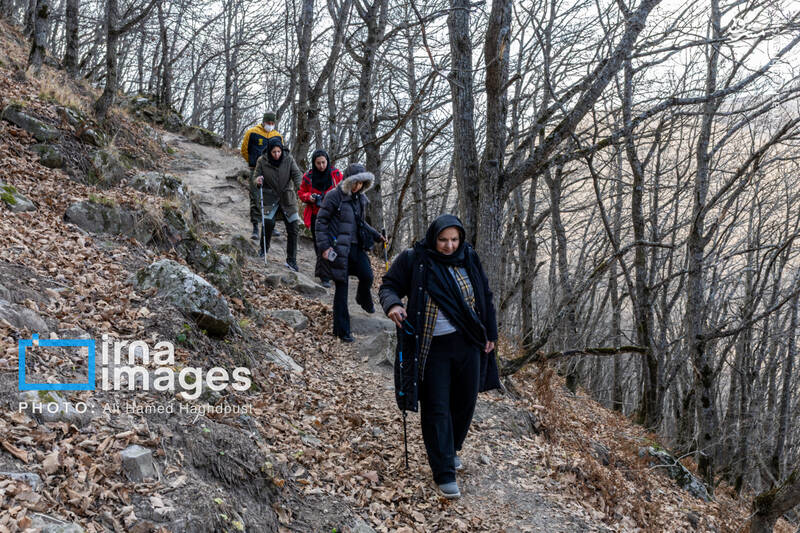 عکس / سوز و گداز دیزمار 40