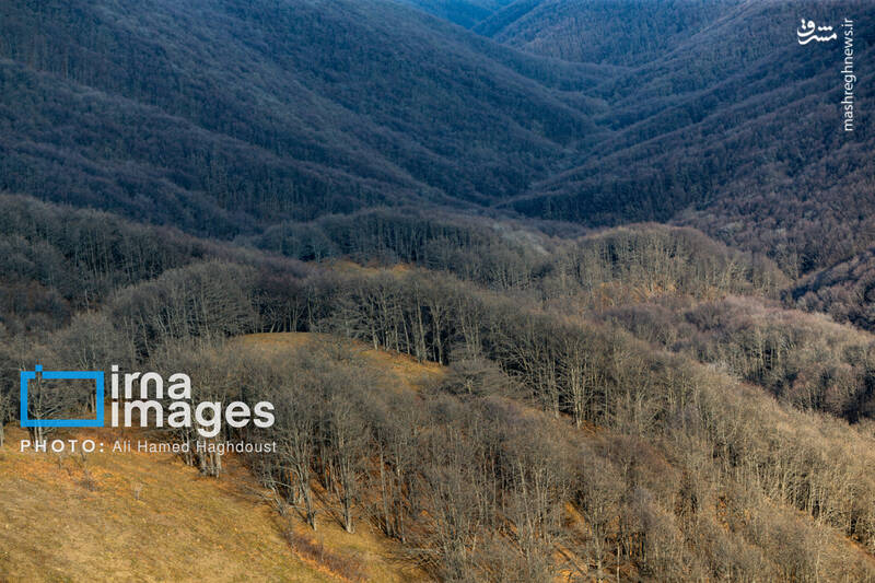 عکس / سوز و گداز دیزمار 39