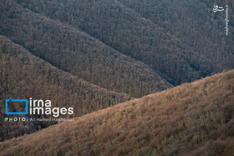 عکس / سوز و گداز دیزمار 34