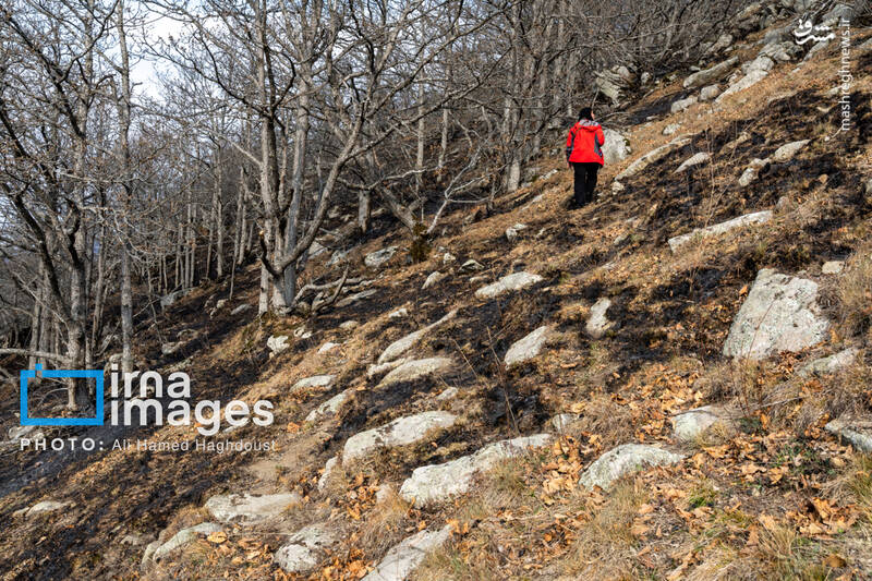 عکس / سوز و گداز دیزمار 31