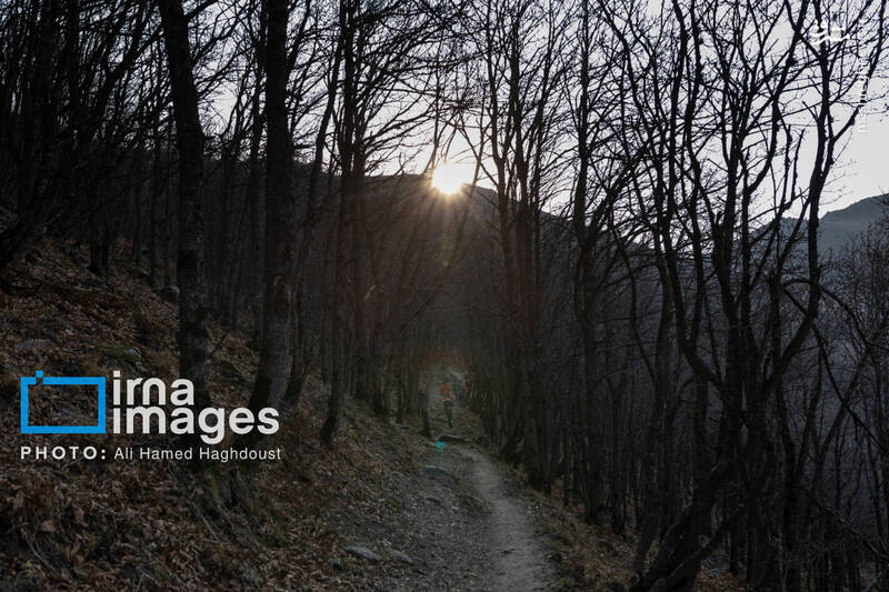 عکس / سوز و گداز دیزمار 29