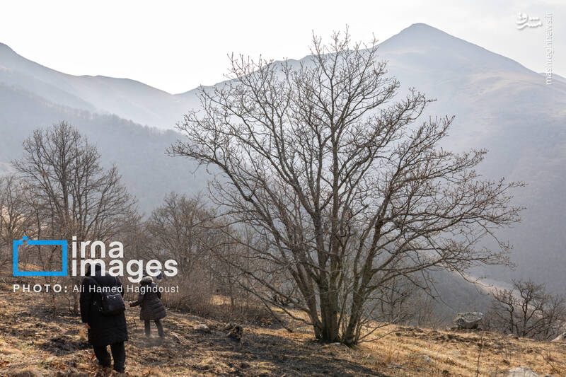 عکس / سوز و گداز دیزمار 28