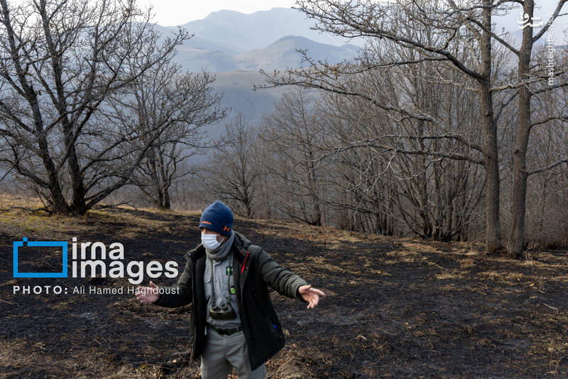 عکس / سوز و گداز دیزمار 27