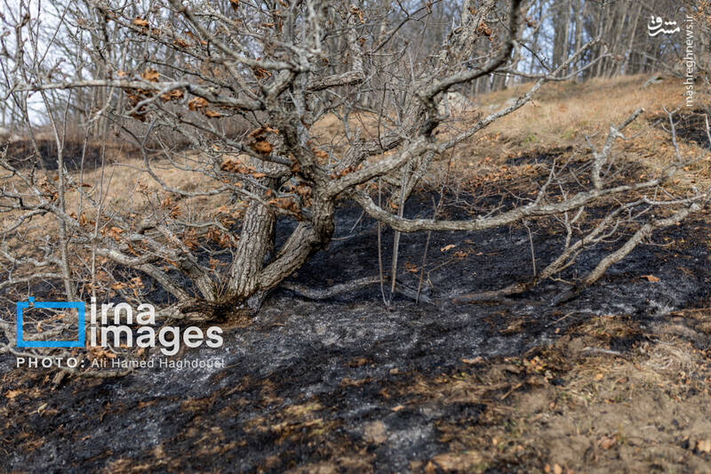 عکس / سوز و گداز دیزمار 26