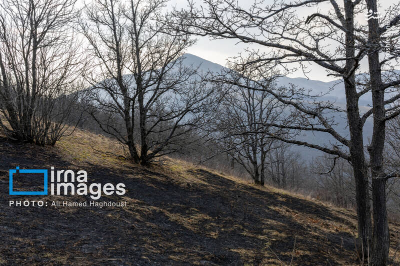 عکس / سوز و گداز دیزمار 25