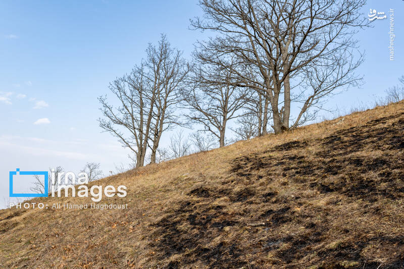 عکس / سوز و گداز دیزمار 24