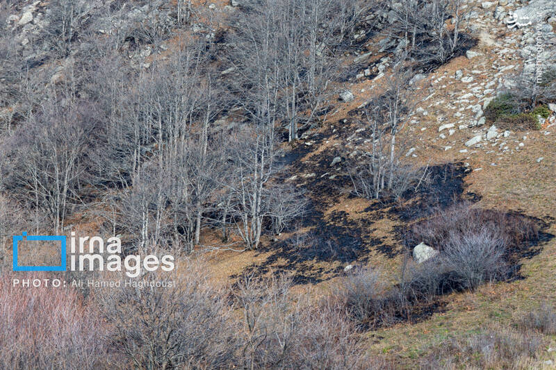 عکس / سوز و گداز دیزمار 19