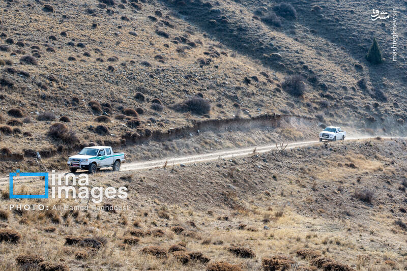 عکس / سوز و گداز دیزمار 18