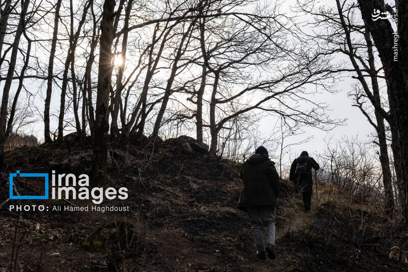 عکس / سوز و گداز دیزمار 16