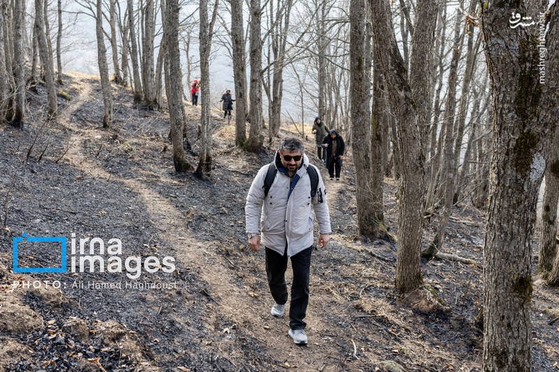 عکس / سوز و گداز دیزمار 13