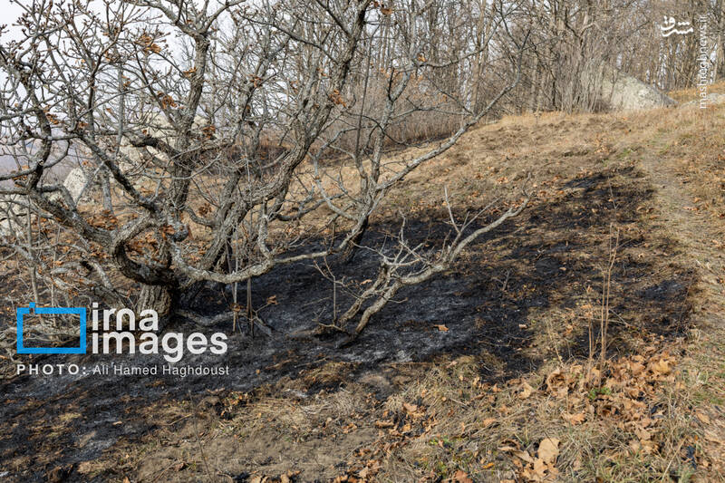 عکس / سوز و گداز دیزمار 12