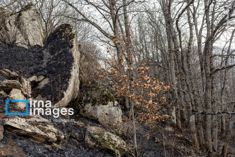 عکس / سوز و گداز دیزمار 7