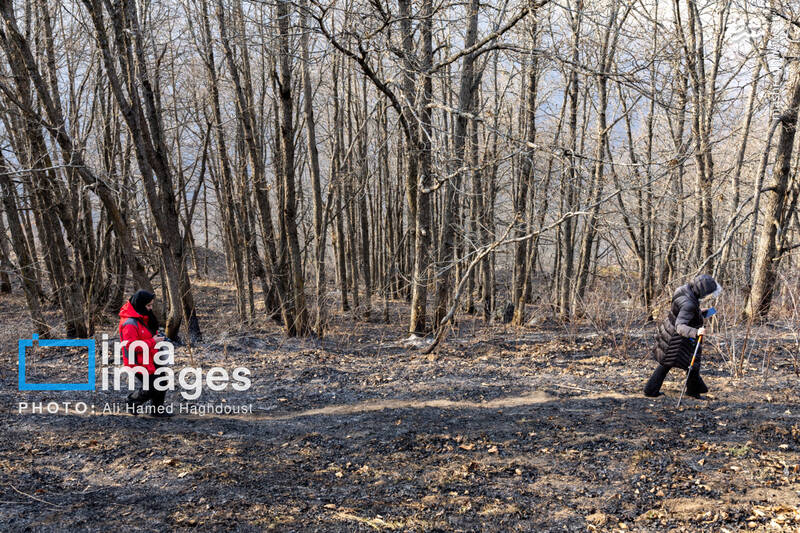 عکس / سوز و گداز دیزمار 2