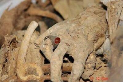 فیلم/ کاوش پیکرهای چند شهید با شرایط خاص