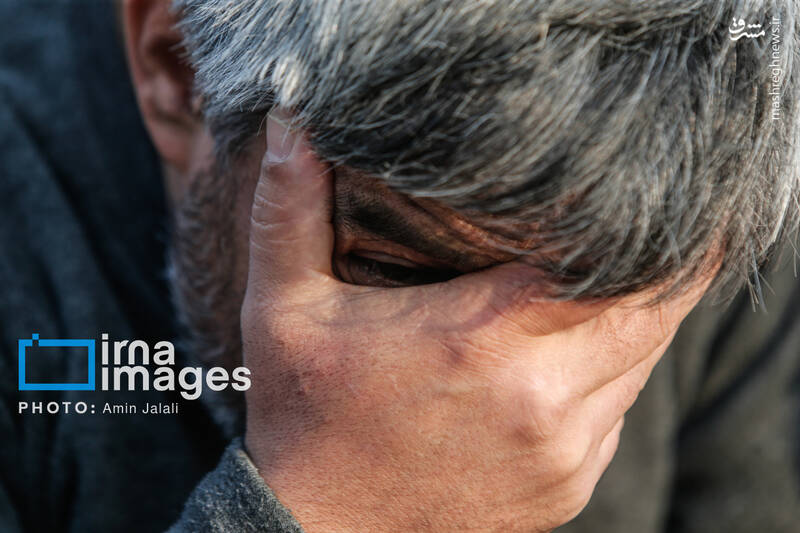 عکس / دستگیری 230 سارق و مالخر در پایتخت 19