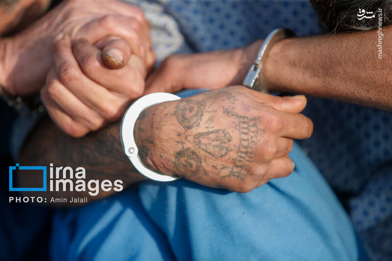 عکس / دستگیری 230 سارق و مالخر در پایتخت 8