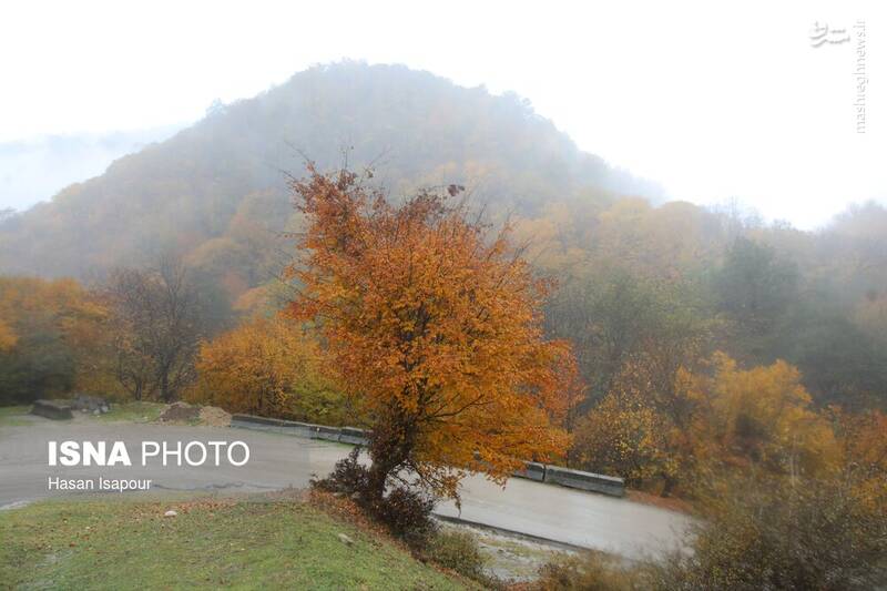 عکس / بازگشت باران به سوادکوه 18