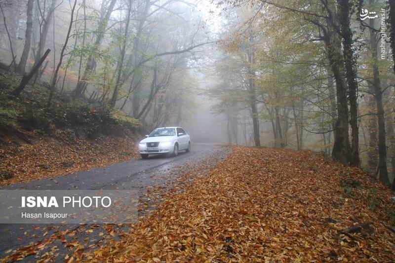 عکس / بازگشت باران به سوادکوه 16