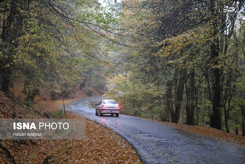 عکس / بازگشت باران به سوادکوه 10