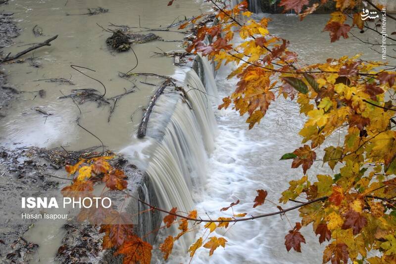 عکس / بازگشت باران به سوادکوه 15