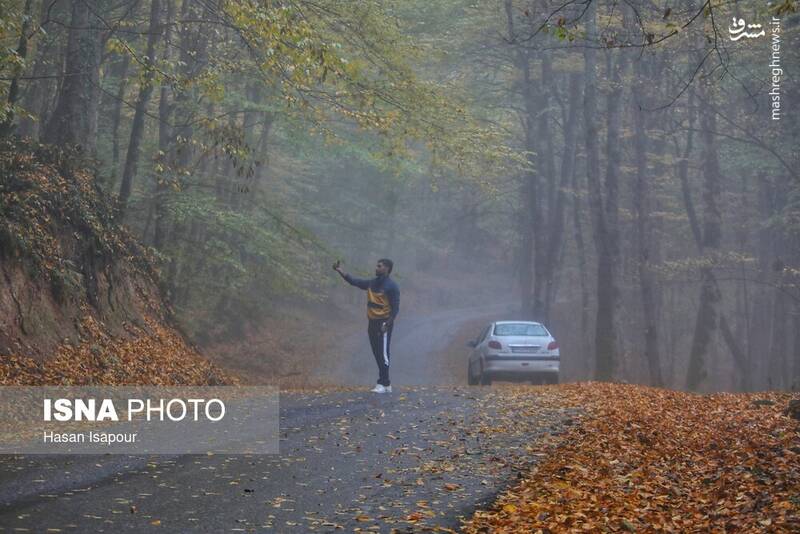 عکس / بازگشت باران به سوادکوه 3