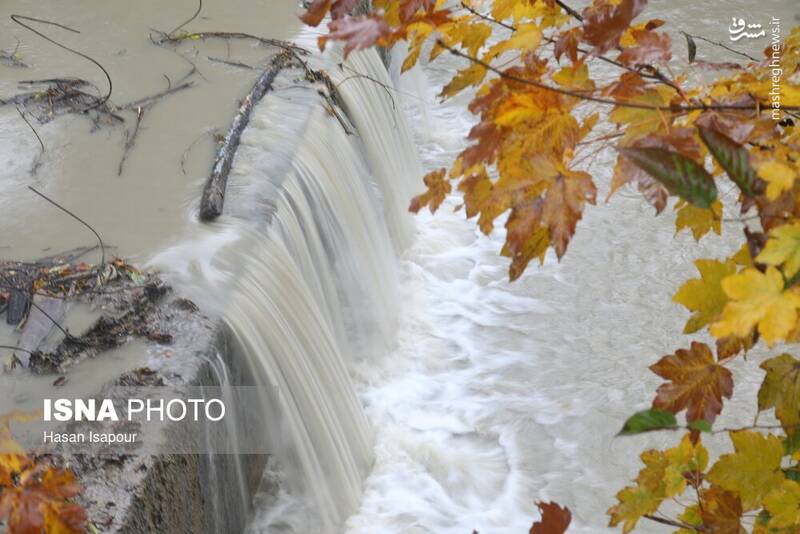 عکس / بازگشت باران به سوادکوه 7