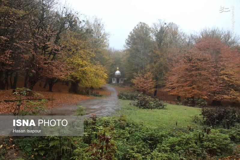 عکس / بازگشت باران به سوادکوه 9