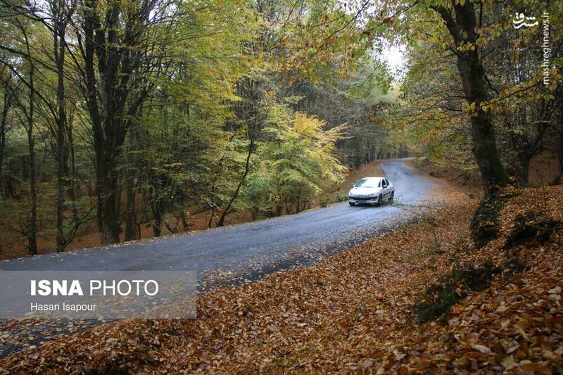 عکس / بازگشت باران به سوادکوه