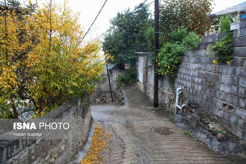 عکس / بازگشت باران به سوادکوه 6