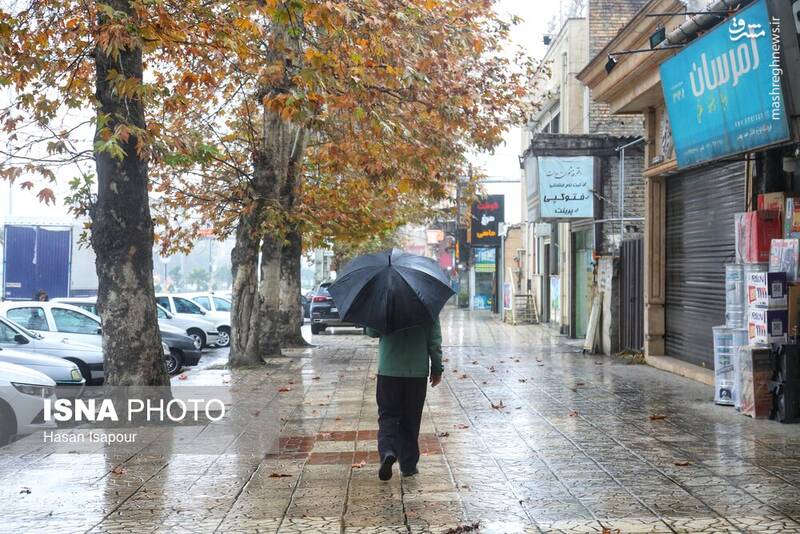 عکس / بازگشت باران به سوادکوه 4