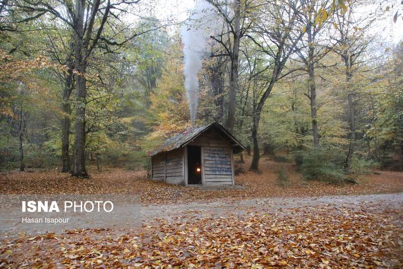 عکس / بازگشت باران به سوادکوه 2