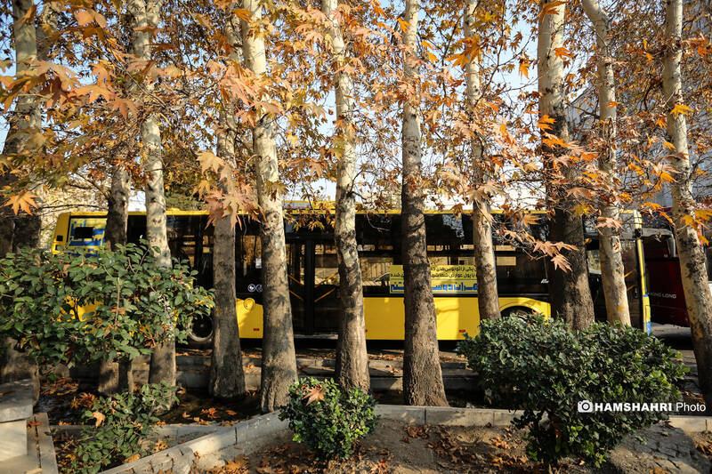 تهران در انتظار پاییز