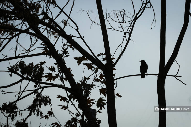 تهران در انتظار پاییز