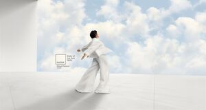 رنگ سال ۲۰۲۶ اعلام شد + عکس