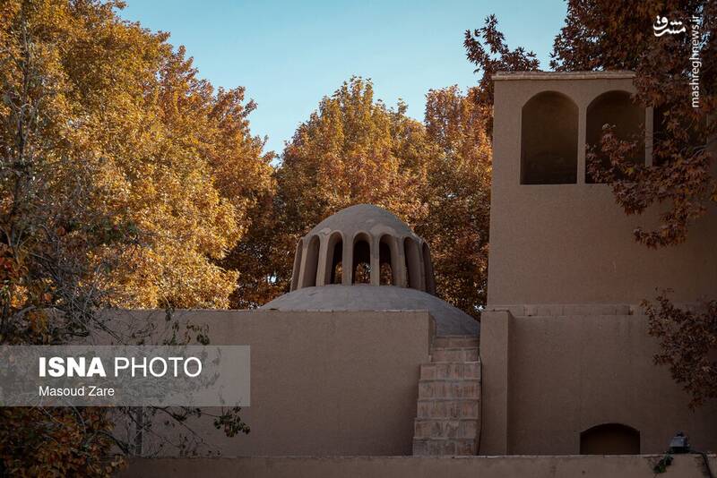 عکس / چنارهای سرخ‌پوش پهلوان‌پور 13