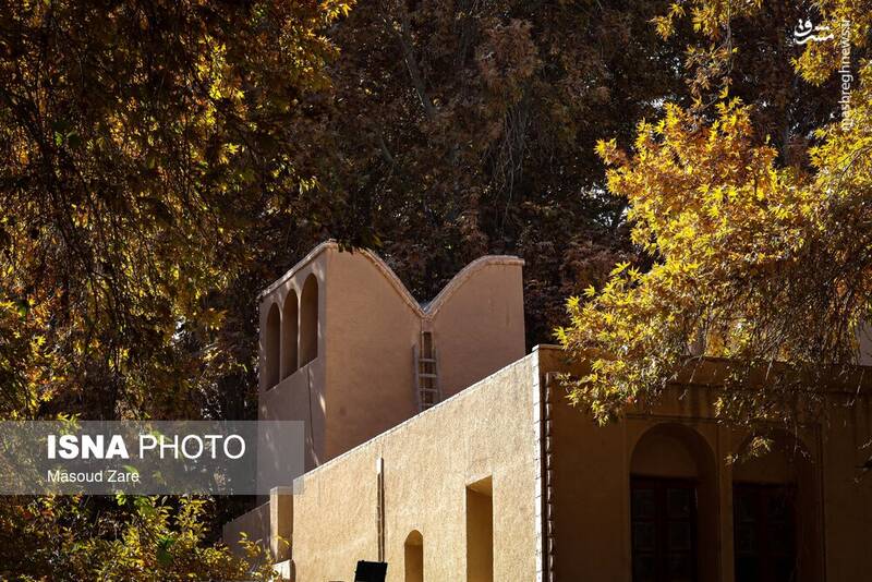 عکس / چنارهای سرخ‌پوش پهلوان‌پور 9