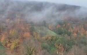 فیلم/ طبیعت آستارا در قاب پاییز