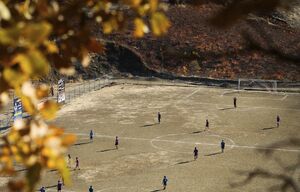 عکس/ فوتبال زیر سایه درختان بلوط